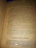 1915 Вегетарианский стол. Руководство к приготовлению недорогих блюд, фото №3