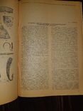 1983 Древности степного Поднепровья - 500 экз, фото №9