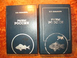 Л.П Сабанеев Рыбы России 2 томник, фото №2