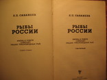 Л.П Сабанеев Рыбы России 2 томник, фото №4