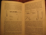 Л.П Сабанеев Рыбы России 2 томник, фото №5