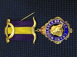 Знак Старинного Королевского Ордена Буйволов серебро, фото №6