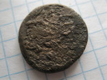 Монета Пантикапея-голва лева вліво  2, фото №3