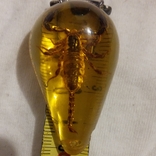 Скорпион в янтаре имитация кулон с гравировка 1974 года, фото №3