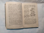 1959 Лекарственные растения и способы их применения в народе, фото №8