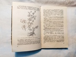 1959 Лекарственные растения и способы их применения в народе, фото №9
