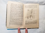 1959 Лекарственные растения и способы их применения в народе, фото №12