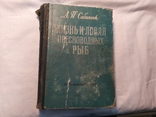 1959 Сабанеев. Жизнь и ловля пресноводных рыб. Рыбалка, фото №2