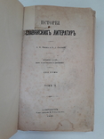 1881 г. История славянских литератур, фото №4