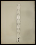 Старинная цветная литография. Драгуны. 1850 год. (34 на 26 см.), фото №8
