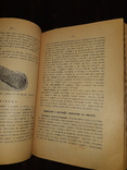 1899 Основы кулинарного искусства - Первое издание, фото №3