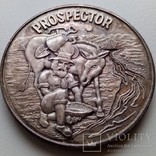 The American Prospector США, фото №2