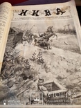 Полный комплект журнала Нива за 1915г Хроника мировой войны,, фото №3