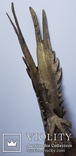 Скульптура птицы. Фазан. Европа., фото №4