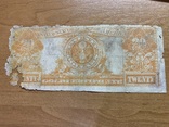 20 доларів 1922, фото №3