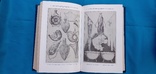 Д.И.Яворницкий История запорожских казаков 1993 год, фото №8