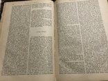 1901 Д. Писарев Сочинения: полное собрание в 6ти томах, фото №6