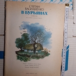 Степан Васильченко "В бур`янах" 1984р., фото №2