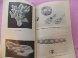 Изд.  1986 г.  "Коралл".  133 стр., фото №7