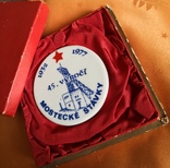 Настольная памятная медаль Чехословакии, фото №5
