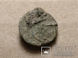 Никоний, Ольвия, подражание монетам г.Истрии, фото №2