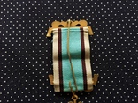 Знак Старинного Королевского Ордена Буйволов (RAOB), фото №5