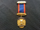 Знак Старинного Королевского Ордена Буйволов (RAOB), фото №3