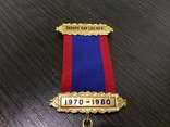 Знак Старинного Королевского Ордена Буйволов (RAOB), фото №12