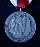 Польша. Медаль "За заслуги при защите страны". Серебряная степень., фото №2
