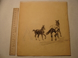 Лошадь конь, фото №6