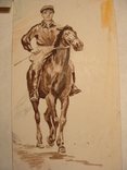 Лошадь конь жеребенок, фото №8