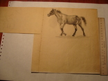 Лошадь конь жеребенок, фото №9
