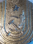 Медаль с символикой ссср,серп молот звезда, фото №3