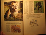 Породы собак 1989г, фото №8