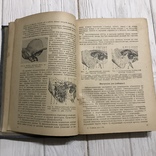 1939 Болезни уха и верхних дыхательных путей в детском возрасте, фото №9