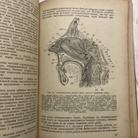 1939 Болезни уха и верхних дыхательных путей в детском возрасте, фото №10