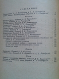 Хедаят Садек. Избранные произведения. Сост. Комиссаров, Розенфельд. 1969 г., фото №13