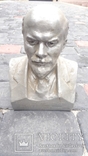 Бюст Леніна підписний. З клеймом., фото №4