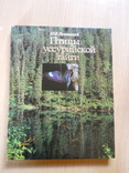 Фотоальбом:  Птицы уссурийской тайги. 1984.Увеличенный формат., фото №2
