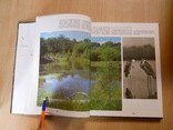 Фотоальбом:  Птицы уссурийской тайги. 1984.Увеличенный формат., фото №5