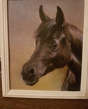 "Голова лошади". К.Швецов, фото №3