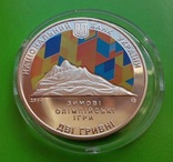 301 XXII зимові Олімпійські ігри в Сочі Сочи Олимпиада 2014, фото №2