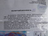 Нар..худ.Укр.Герц Ю. раз.65х70см.х.м. 1990г. Закарпатская шк. Эрдели и Бокшая, фото №9