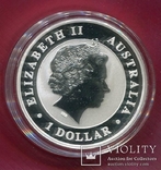Австралия 1 доллар 2012 Коала пруф, фото №3