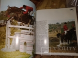 1976 Ветер в гривне.  Лошади Кони громадный фотоальбом, фото №10