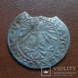 Полугрош  1562   серебро   (М.4.37), фото №4