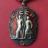 Орден Знак Почёта №1553595 «Веточки», фото №5