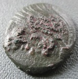 Пантикапей 314-310 гг. д.н.е., фото №5