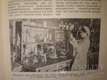 1954 Виноделие и Виноградарство СССР 4 шт вино коньяк шампанское виноград, фото №3