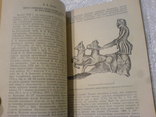 Новые памятники Древней и средневековой художественной культури, фото №11